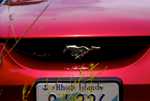 DSC01061.jpg