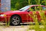 DSC01066.jpg