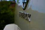 DSC01095.jpg