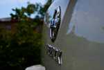 DSC01096.jpg