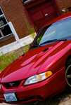 DSC01129.jpg