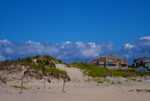 DSC01224.jpg