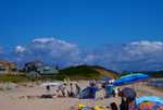 DSC01226.jpg