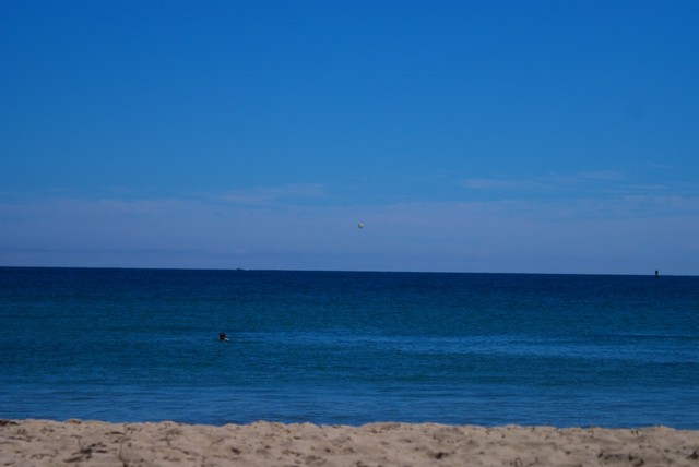 DSC01232.jpg