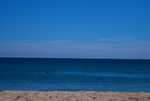 DSC01232.jpg