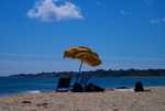 DSC01233.jpg
