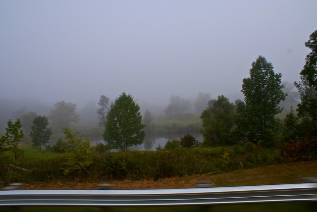 DSC02600.jpg