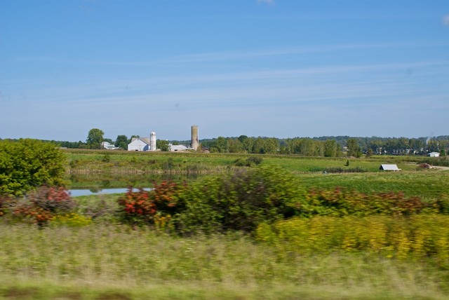 DSC02651.jpg