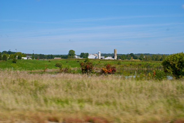 DSC02656.jpg