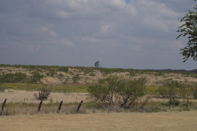 DSC02847.jpg