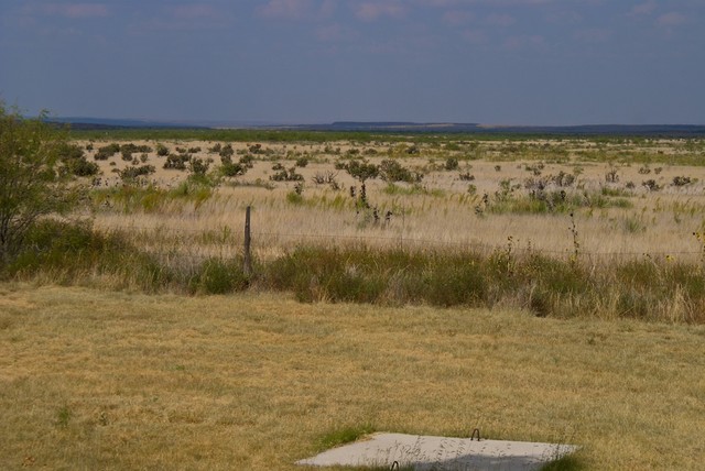 DSC02850.jpg