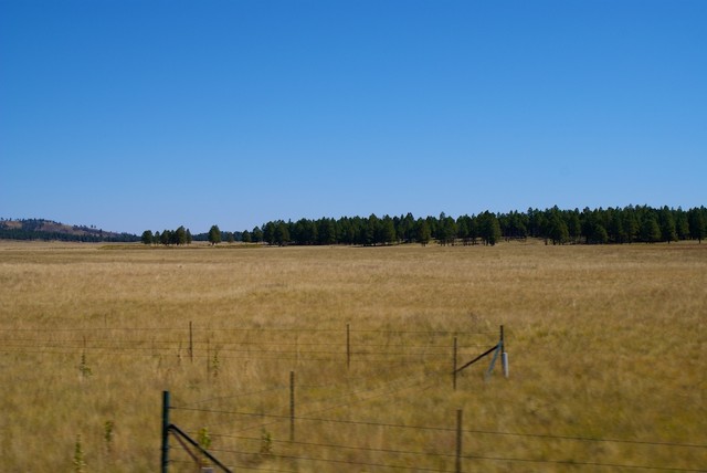 DSC02895.jpg