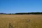 DSC02895.jpg