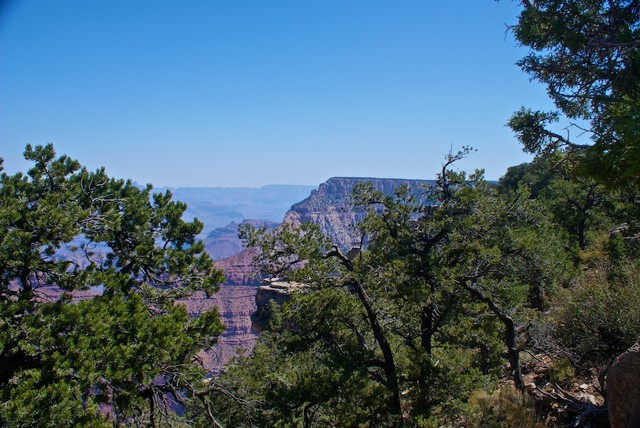 DSC02920.jpg