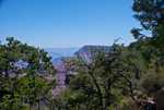 DSC02920.jpg