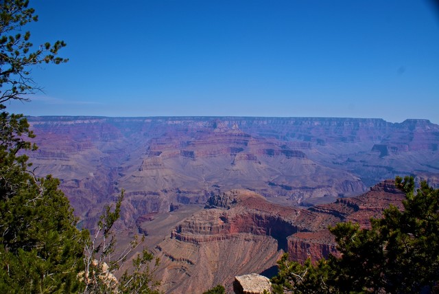 DSC02924.jpg