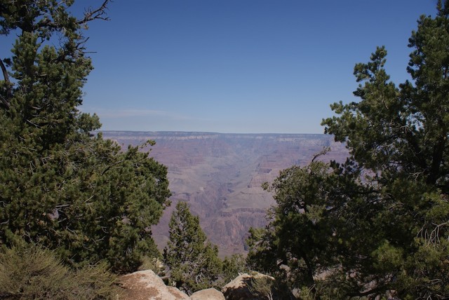 DSC02937.jpg