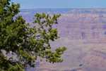 DSC02952.jpg