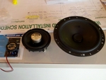 IMG_20110217_092828.jpg