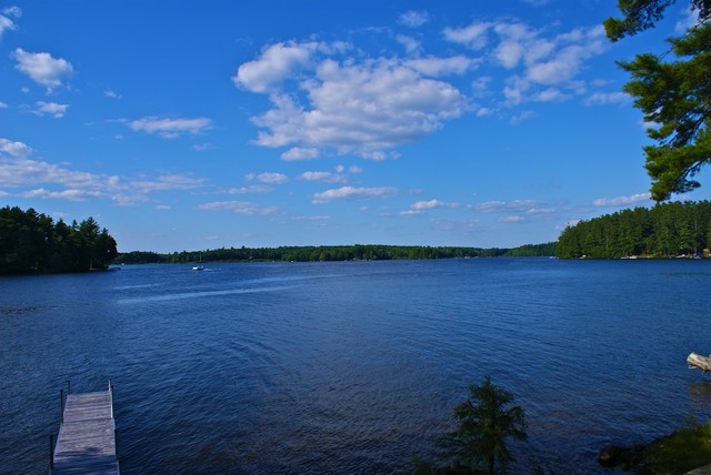 DSC01989.jpg
