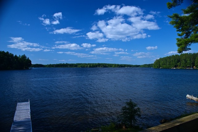 DSC02002.jpg