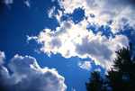 DSC02096.jpg