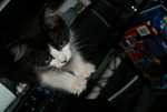 DSC01607.jpg