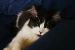 DSC01690.jpg