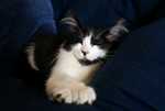 DSC01708.jpg