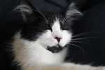 DSC01709.jpg