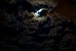 DSC02227.jpg