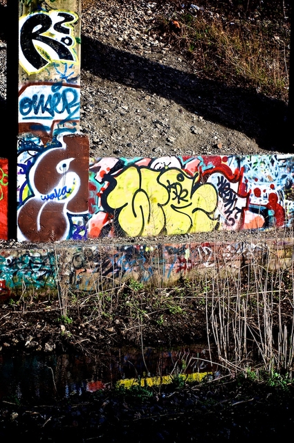 DSC02595.jpg