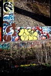DSC02595.jpg