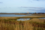 DSC02610.jpg