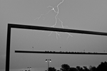 DSC02796.jpg