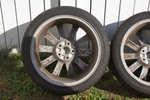DSC00844.jpg