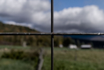 DSC03902.jpg