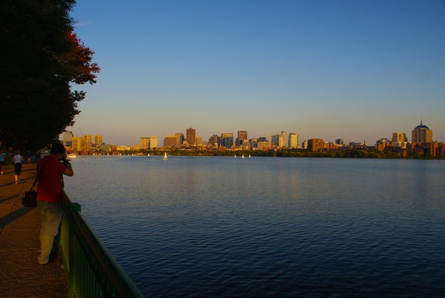DSC03131.jpg