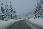 DSC01238.jpg