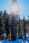 DSC01379.jpg