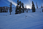 DSC01654.jpg