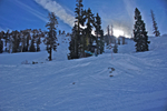 DSC01687.jpg