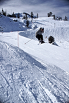 DSC01959.jpg