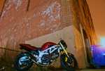 DSC01572.jpg