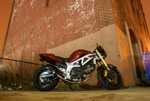 DSC01575.jpg