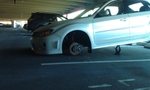 IMAG0014.jpg