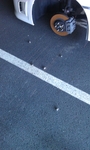 IMAG0016.jpg
