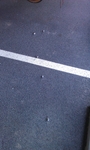 IMAG0017.jpg