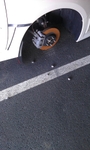 IMAG0018.jpg