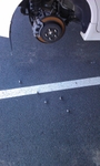 IMAG0019.jpg